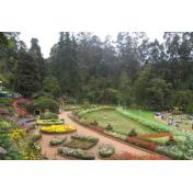 Day 07 (Wildlife special of South India 7 NIGHTS  8 DAYS) botanical-garden-ooty.jpg
